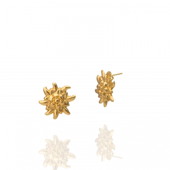 Earring made from brass, goldplated