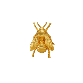 Brooche made from brass, goldplated